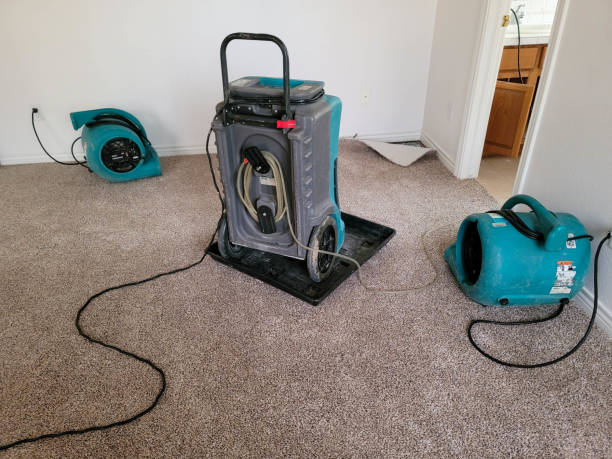 Best Flood damage cleanup  in Holton, KS