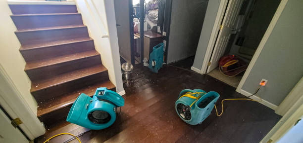 Best Sewage cleanup and water damage restoration  in Holton, KS