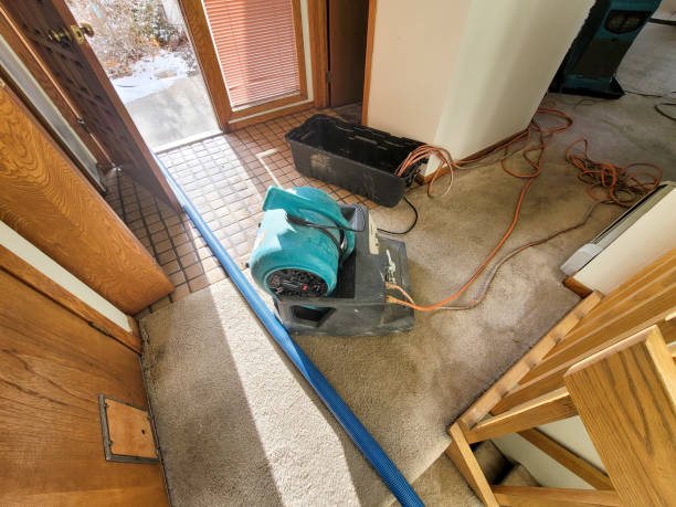 Best Residential water damage restoration  in Holton, KS