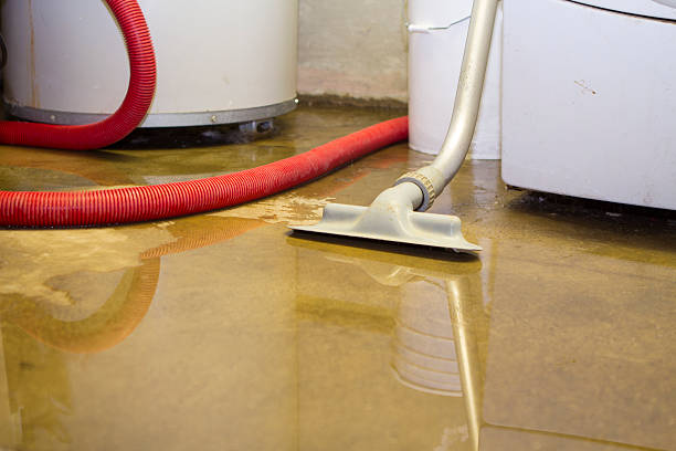 Best Ceiling water damage repair  in Holton, KS