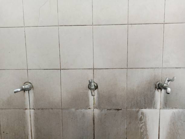 Best Water damage restoration experts  in Holton, KS