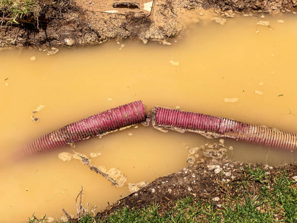 Best Water damage restoration near me  in Holton, KS