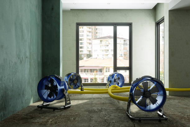 Best Basement water damage restoration  in Holton, KS