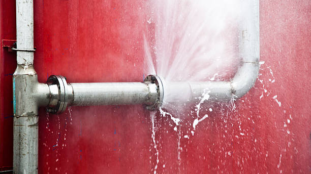 Best Local water damage restoration  in Holton, KS
